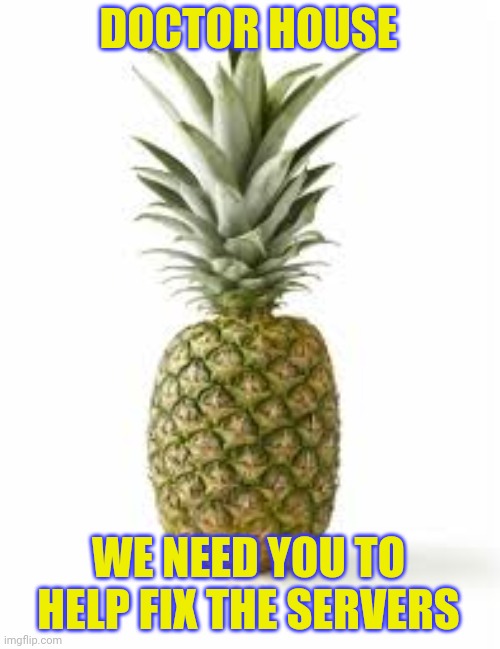 Sethamphetamine announcement temp | DOCTOR HOUSE; WE NEED YOU TO HELP FIX THE SERVERS | image tagged in sethamphetamine announcement temp | made w/ Imgflip meme maker