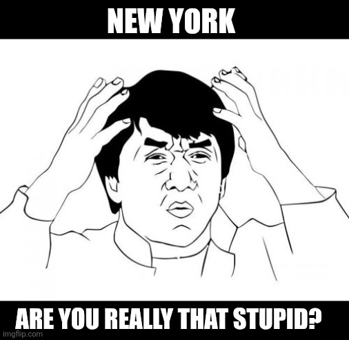 NY WTF | NEW YORK; ARE YOU REALLY THAT STUPID? | image tagged in memes,jackie chan wtf | made w/ Imgflip meme maker