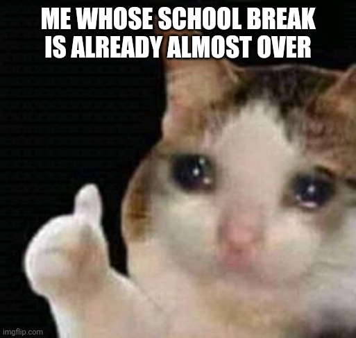 sad thumbs up cat | ME WHOSE SCHOOL BREAK IS ALREADY ALMOST OVER | image tagged in sad thumbs up cat | made w/ Imgflip meme maker
