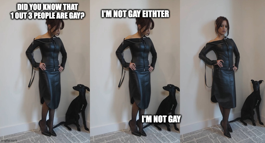 Jenna Ortega Gay | I'M NOT GAY EITHTER; DID YOU KNOW THAT 1 OUT 3 PEOPLE ARE GAY? I'M NOT GAY | image tagged in jenna ortega,dad joke dog,jenna ortega gay,1 out of 3,gay | made w/ Imgflip meme maker