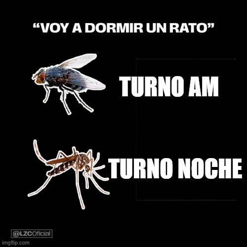 9yqsdo.jpg