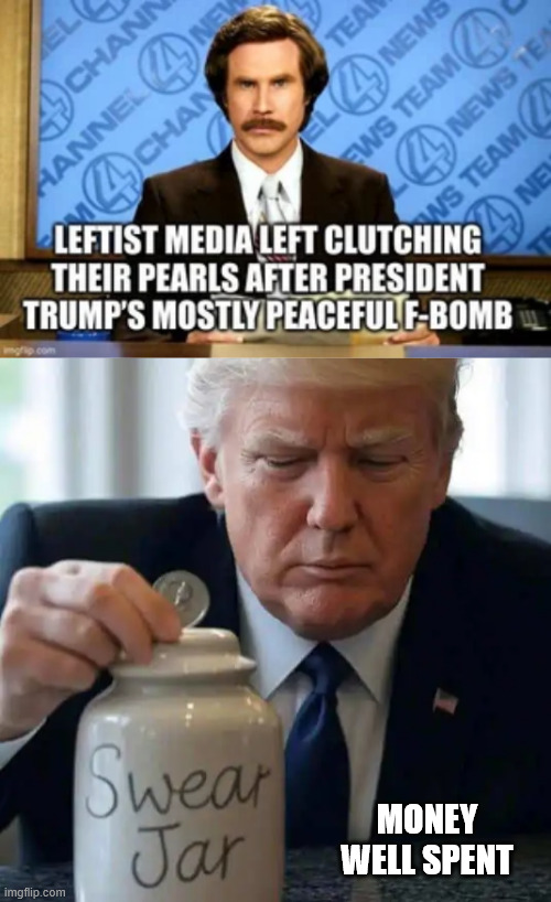 Money well spent | MONEY WELL SPENT | image tagged in trump,triggers,msm,again,lol | made w/ Imgflip meme maker