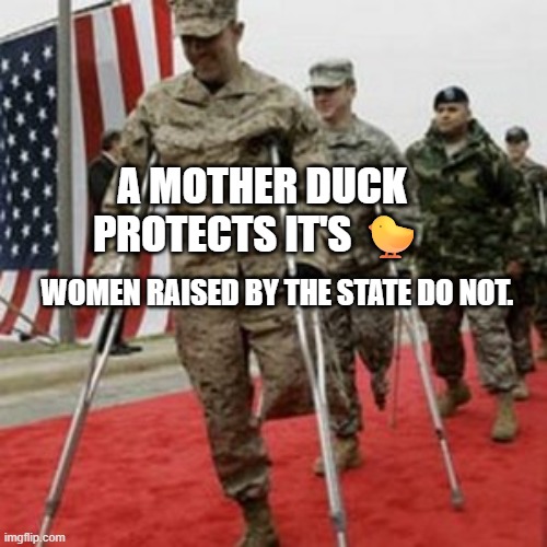 veterans lose money | A MOTHER DUCK PROTECTS IT'S 🐤; WOMEN RAISED BY THE STATE DO NOT. | image tagged in veterans lose money | made w/ Imgflip meme maker