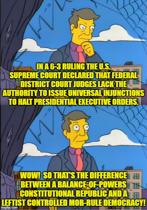 The U.S. Constitution matters.  Who knew? | IN A 6-3 RULING THE U.S. SUPREME COURT DECLARED THAT FEDERAL DISTRICT COURT JUDGES LACK THE AUTHORITY TO ISSUE UNIVERSAL INJUNCTIONS TO HALT PRESIDENTIAL EXECUTIVE ORDERS. WOW!  SO THAT'S THE DIFFERENCE BETWEEN A BALANCE-OF-POWERS CONSTITUTIONAL REPUBLIC AND A LEFTIST CONTROLLED MOB-RULE DEMOCRACY! | image tagged in skinner out of touch | made w/ Imgflip meme maker