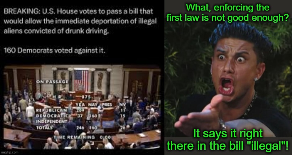 Why Do We Even Need this Bill? | What, enforcing the first law is not good enough? It says it right there in the bill "illegal"! | image tagged in illegal aliens,drunk driving,160 | made w/ Imgflip meme maker