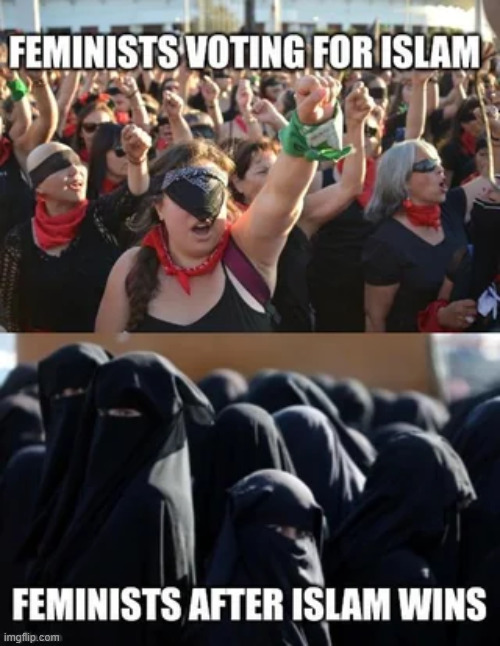 Feminists are stupid | image tagged in feminists,are stupid | made w/ Imgflip meme maker