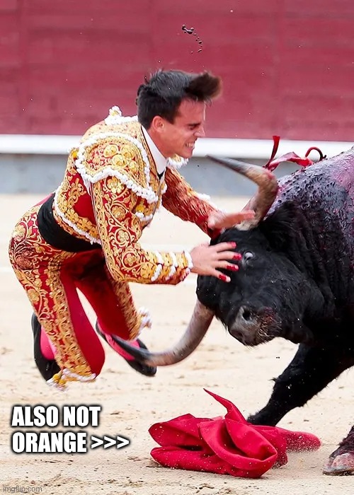 9yqy25.jpg