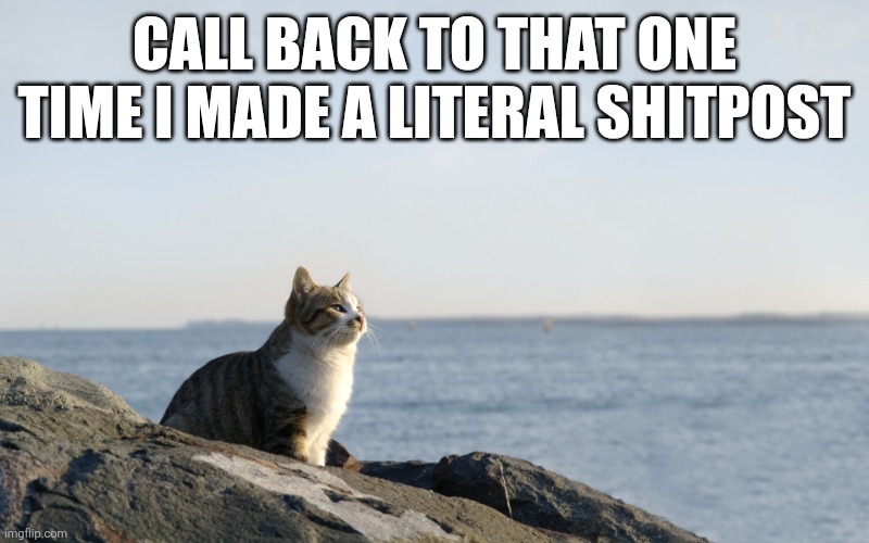 Yeah | CALL BACK TO THAT ONE TIME I MADE A LITERAL SHITPOST | image tagged in deep thinking cat | made w/ Imgflip meme maker