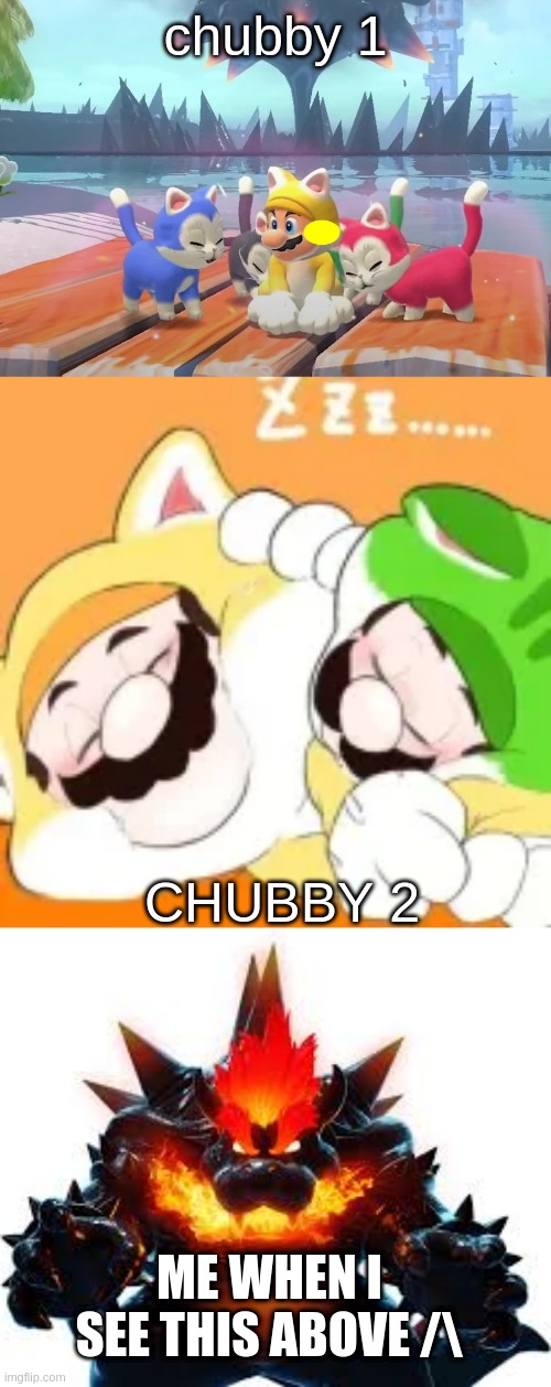 chubby 1 CHUBBY 2 ME WHEN I SEE THIS ABOVE /\ | image tagged in mario and cats | made w/ Imgflip meme maker