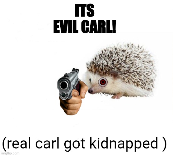 Carl blank | ITS EVIL CARL! (real carl got kidnapped ) | image tagged in carl blank | made w/ Imgflip meme maker