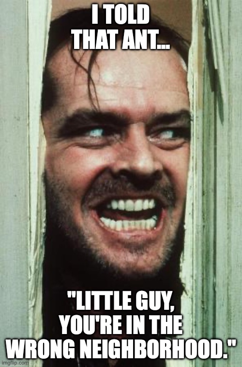 Here's Johnny | I TOLD THAT ANT... "LITTLE GUY, YOU'RE IN THE WRONG NEIGHBORHOOD." | image tagged in memes,here's johnny | made w/ Imgflip meme maker