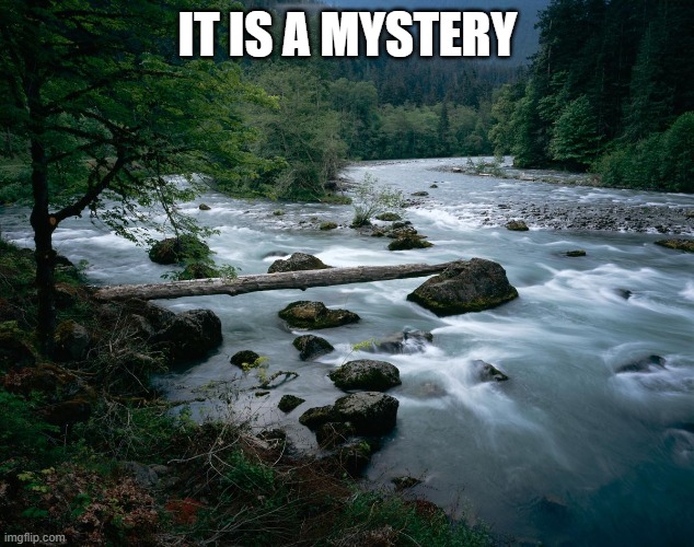 river | IT IS A MYSTERY | image tagged in river | made w/ Imgflip meme maker