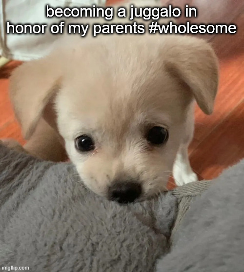 hi | becoming a juggalo in honor of my parents #wholesome | image tagged in hi | made w/ Imgflip meme maker