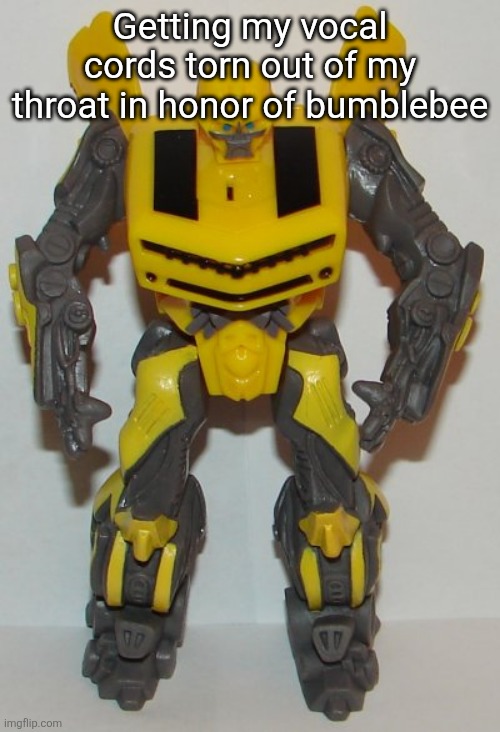 Getting my vocal cords torn out of my throat in honor of bumblebee | made w/ Imgflip meme maker