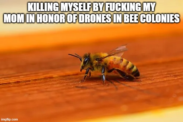 KILLING MYSELF BY FUCKING MY MOM IN HONOR OF DRONES IN BEE COLONIES | made w/ Imgflip meme maker