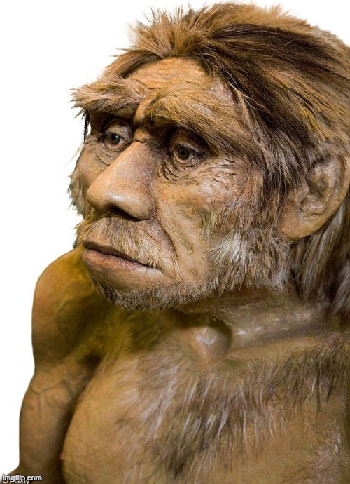 Homo Sapien | image tagged in homo sapien | made w/ Imgflip meme maker