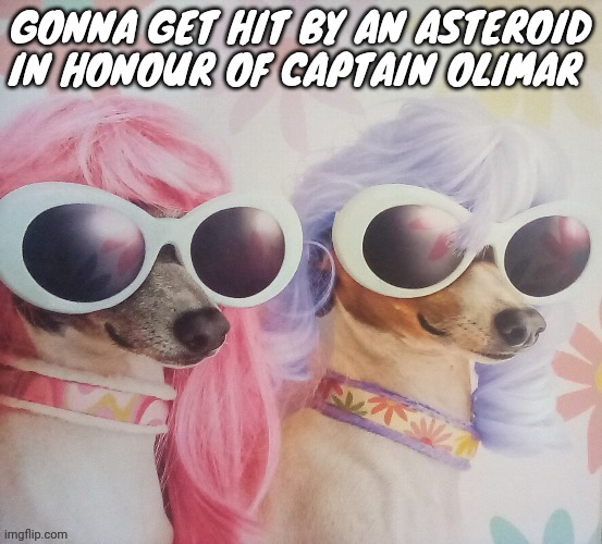 Groovy dawgs | GONNA GET HIT BY AN ASTEROID IN HONOUR OF CAPTAIN OLIMAR | image tagged in groovy dawgs | made w/ Imgflip meme maker