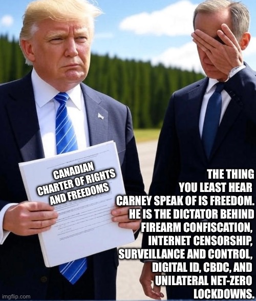 CanadaRising | THE THING YOU LEAST HEAR 
CARNEY SPEAK OF IS FREEDOM.
 HE IS THE DICTATOR BEHIND
 FIREARM CONFISCATION, 
INTERNET CENSORSHIP, 
SURVEILLANCE AND CONTROL, 
DIGITAL ID, CBDC, AND 
UNILATERAL NET-ZERO 
LOCKDOWNS. CANADIAN CHARTER OF RIGHTS AND FREEDOMS | image tagged in canadian politics | made w/ Imgflip meme maker