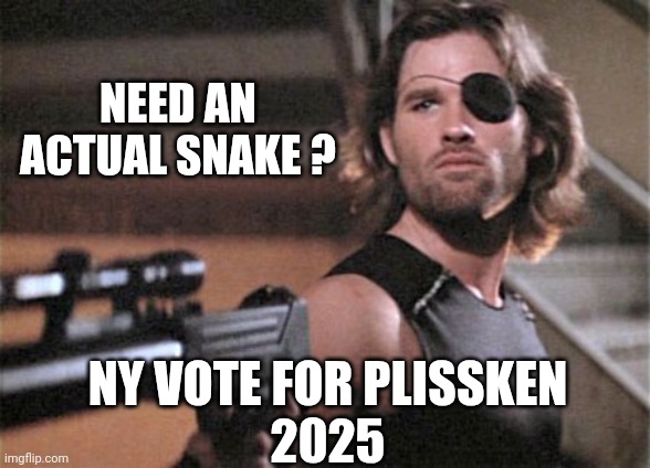 SNAKE PLISSKEN | NEED AN ACTUAL SNAKE ? NY VOTE FOR PLISSKEN
2025 | image tagged in snake plissken | made w/ Imgflip meme maker