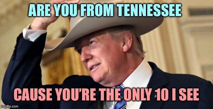 donald-trump-cowboy-hat | ARE YOU FROM TENNESSEE; CAUSE YOU’RE THE ONLY 10 I SEE | image tagged in donald-trump-cowboy-hat | made w/ Imgflip meme maker