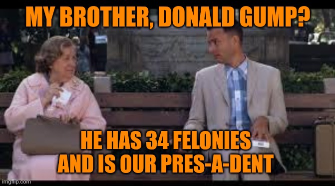 forrest gump box of chocolates | MY BROTHER, DONALD GUMP? HE HAS 34 FELONIES 
AND IS OUR PRES-A-DENT | image tagged in forrest gump box of chocolates | made w/ Imgflip meme maker