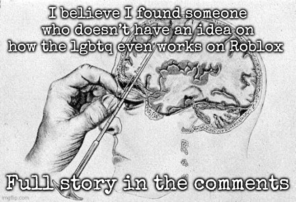 Lobotomy  | I believe I found someone who doesn’t have an idea on how the lgbtq even works on Roblox; Full story in the comments | image tagged in lobotomy,msmg | made w/ Imgflip meme maker