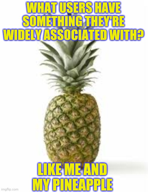 Sethamphetamine announcement temp | WHAT USERS HAVE SOMETHING THEY'RE WIDELY ASSOCIATED WITH? LIKE ME AND MY PINEAPPLE | image tagged in sethamphetamine announcement temp | made w/ Imgflip meme maker