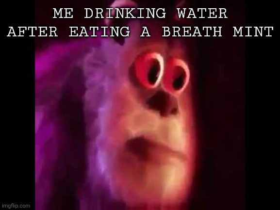 Sully Groan | ME DRINKING WATER AFTER EATING A BREATH MINT | image tagged in sully groan | made w/ Imgflip meme maker