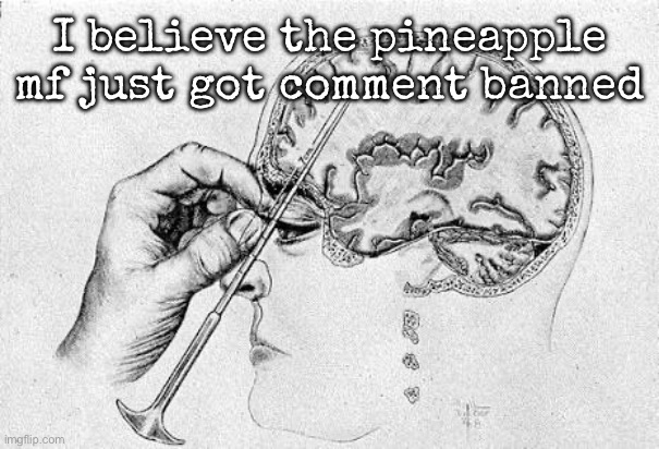Lobotomy  | I believe the pineapple mf just got comment banned | image tagged in lobotomy,msmg | made w/ Imgflip meme maker
