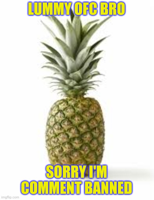 Sethamphetamine announcement temp | LUMMY OFC BRO; SORRY I'M COMMENT BANNED | image tagged in sethamphetamine announcement temp | made w/ Imgflip meme maker
