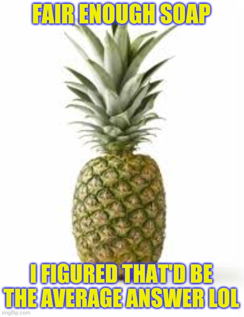Sethamphetamine announcement temp | FAIR ENOUGH SOAP; I FIGURED THAT'D BE THE AVERAGE ANSWER LOL | image tagged in sethamphetamine announcement temp | made w/ Imgflip meme maker