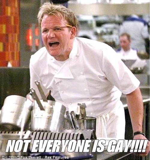 Me talking to any shipping/fanfic community | NOT EVERYONE IS GAY!!!! | image tagged in memes,chef gordon ramsay | made w/ Imgflip meme maker