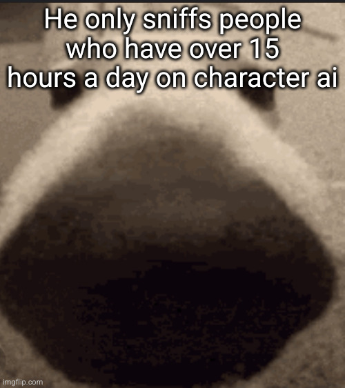 Sniff dog | He only sniffs people who have over 15 hours a day on character ai | image tagged in sniff dog | made w/ Imgflip meme maker