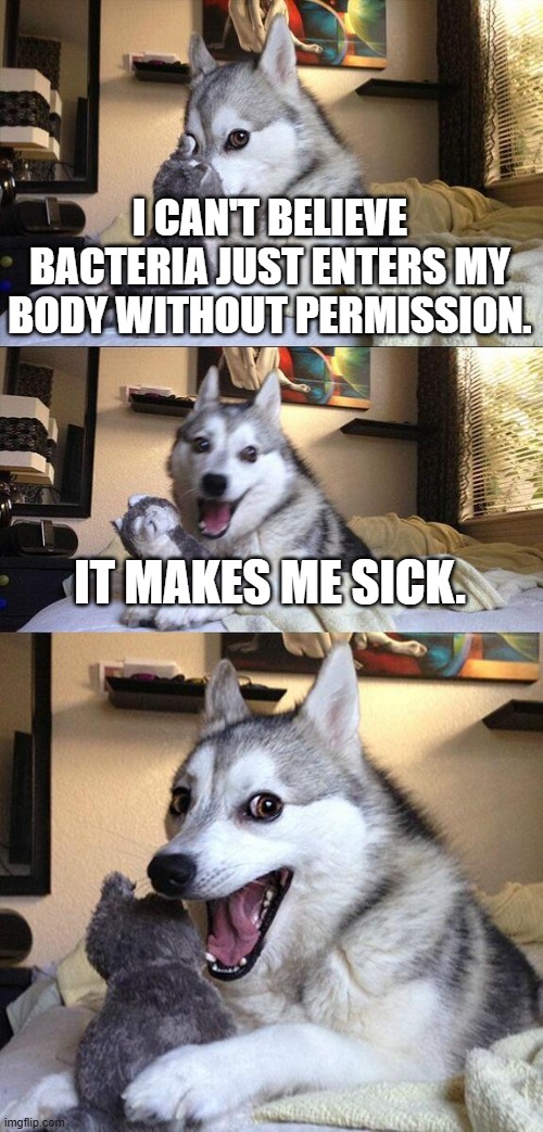 How very dare you | I CAN'T BELIEVE BACTERIA JUST ENTERS MY BODY WITHOUT PERMISSION. IT MAKES ME SICK. | image tagged in memes,bad pun dog,pun,dad jokes | made w/ Imgflip meme maker