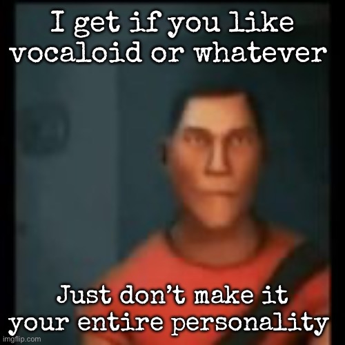 Disappointed Scout | I get if you like vocaloid or whatever; Just don’t make it your entire personality | image tagged in disappointed scout,msmg | made w/ Imgflip meme maker