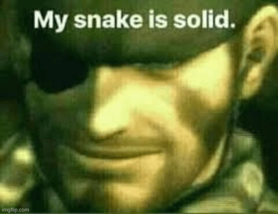 Being dead serious Right now | image tagged in solid snake | made w/ Imgflip meme maker