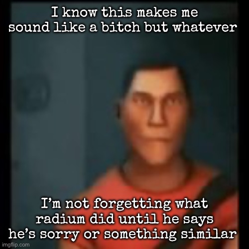 Disappointed Scout | I know this makes me sound like a bitch but whatever; I’m not forgetting what radium did until he says he’s sorry or something similar | image tagged in disappointed scout,msmg | made w/ Imgflip meme maker