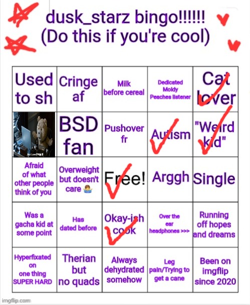 I did the bingo! =) | image tagged in dusk_starz | made w/ Imgflip meme maker