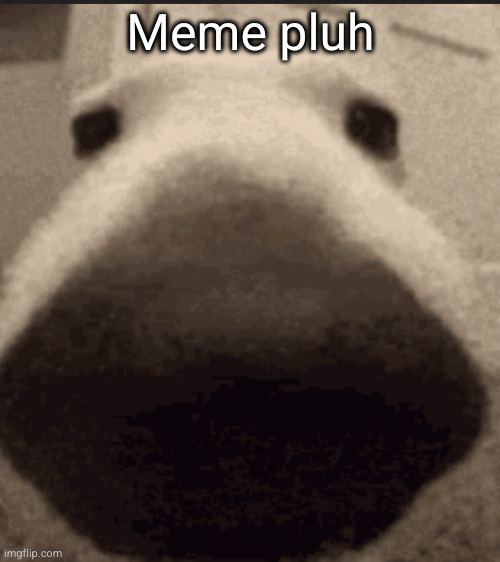 just check the comments my gang | Meme pluh | image tagged in sniff dog,meme plug,hilarious,go to sleep | made w/ Imgflip meme maker