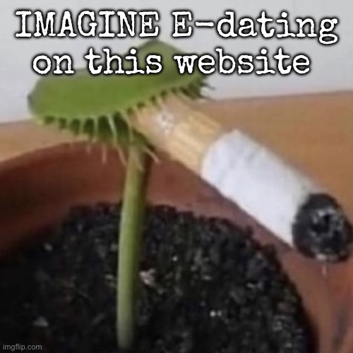 plant weeds | IMAGINE E-dating on this website | image tagged in plant weeds,msmg | made w/ Imgflip meme maker