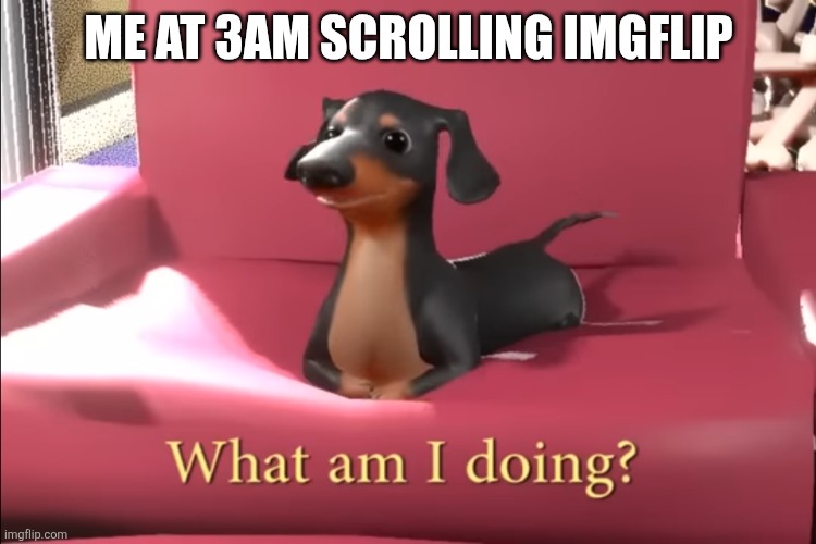 Peak no-lifing | ME AT 3AM SCROLLING IMGFLIP | image tagged in what am i doing,imgflip,memes,no life | made w/ Imgflip meme maker