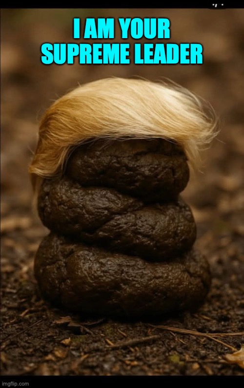 Trump Supreme Leader | I AM YOUR SUPREME LEADER | image tagged in donald trump,republicans,conservatives,shit,maga,right wing | made w/ Imgflip meme maker