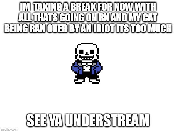 Peace | IM  TAKING A BREAK FOR NOW WITH ALL THATS GOING ON RN AND MY CAT BEING RAN OVER BY AN IDIOT ITS TOO MUCH; SEE YA UNDERSTREAM | made w/ Imgflip meme maker