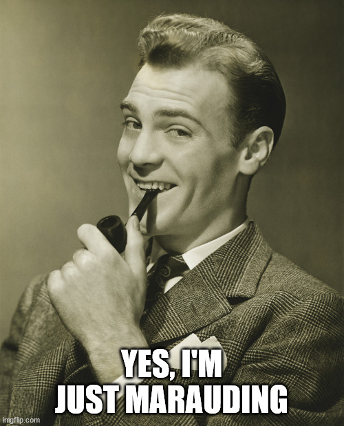 Smug | YES, I'M JUST MARAUDING | image tagged in smug | made w/ Imgflip meme maker