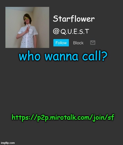 Starflower quest template | who wanna call? https://p2p.mirotalk.com/join/sf | image tagged in starflower quest template | made w/ Imgflip meme maker