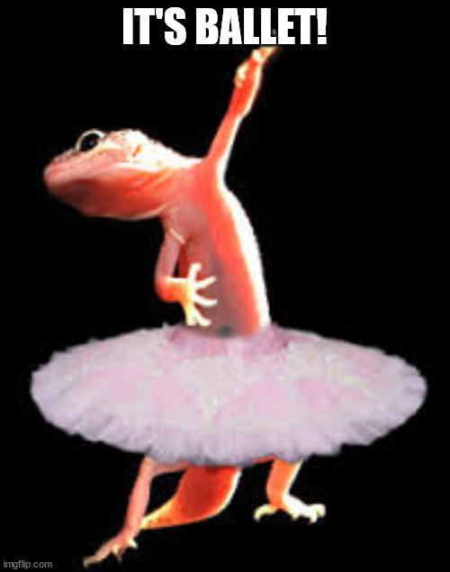 Lizard Ballet | IT'S BALLET! | image tagged in lizard ballet | made w/ Imgflip meme maker