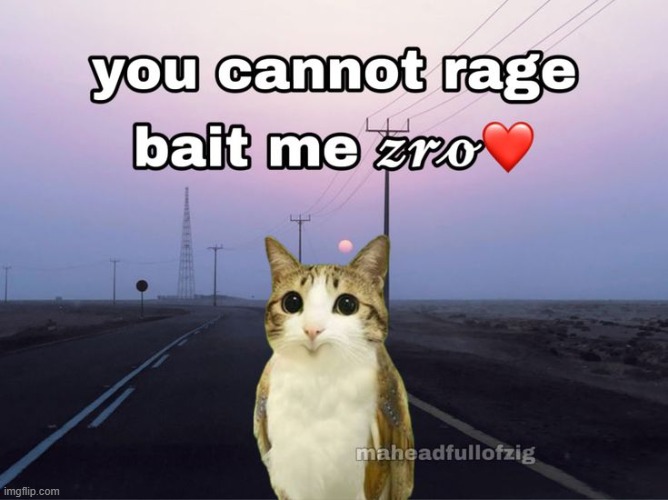 you cant ragebait me | image tagged in you cant ragebait me | made w/ Imgflip meme maker