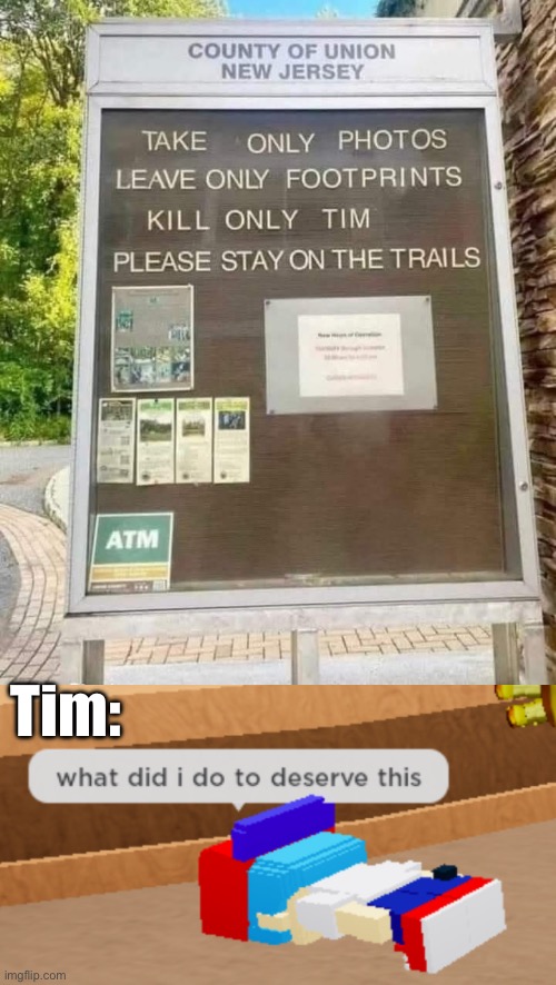 Poor Tim, RIP | Tim: | image tagged in what did i do to deserve this,time,kill,murder | made w/ Imgflip meme maker