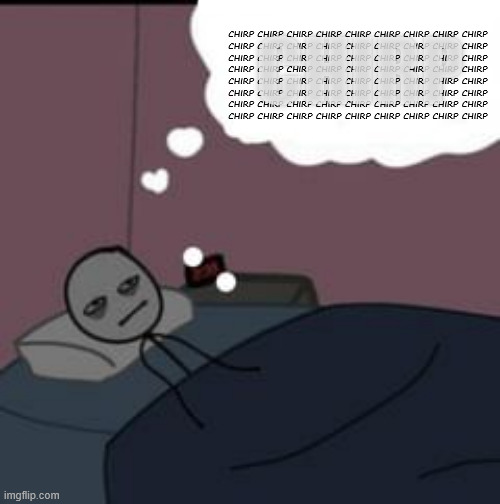 Sleepless Night | CHIRP CHIRP CHIRP CHIRP CHIRP CHIRP CHIRP CHIRP CHIRP 
CHIRP CHIRP CHIRP CHIRP CHIRP CHIRP CHIRP CHIRP CHIRP 
CHIRP CHIRP CHIRP CHIRP CHIRP  | image tagged in sleepless night | made w/ Imgflip meme maker