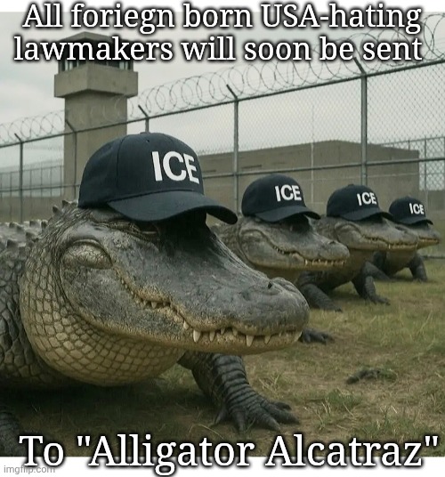 Send Them Now | All foriegn born USA-hating lawmakers will soon be sent; To "Alligator Alcatraz" | image tagged in dumbass,illegal aliens,democrat,libtards,losers,butthurt liberals | made w/ Imgflip meme maker